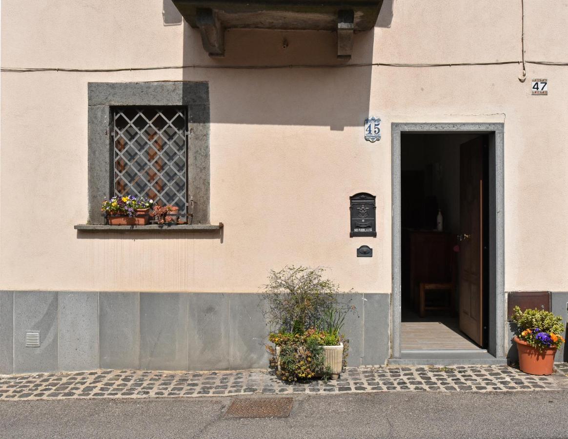La Casetta Della Nonna Bagnoregio Eksteriør billede