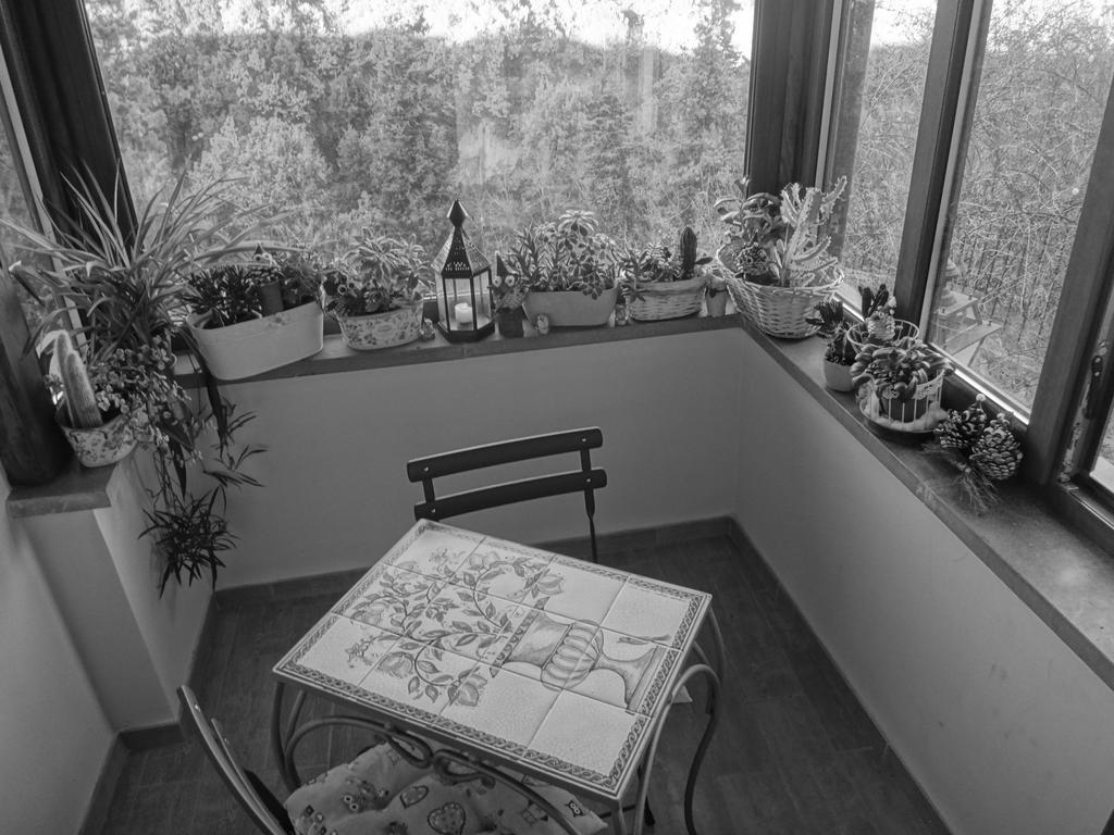 La Casetta Della Nonna Bagnoregio Værelse billede